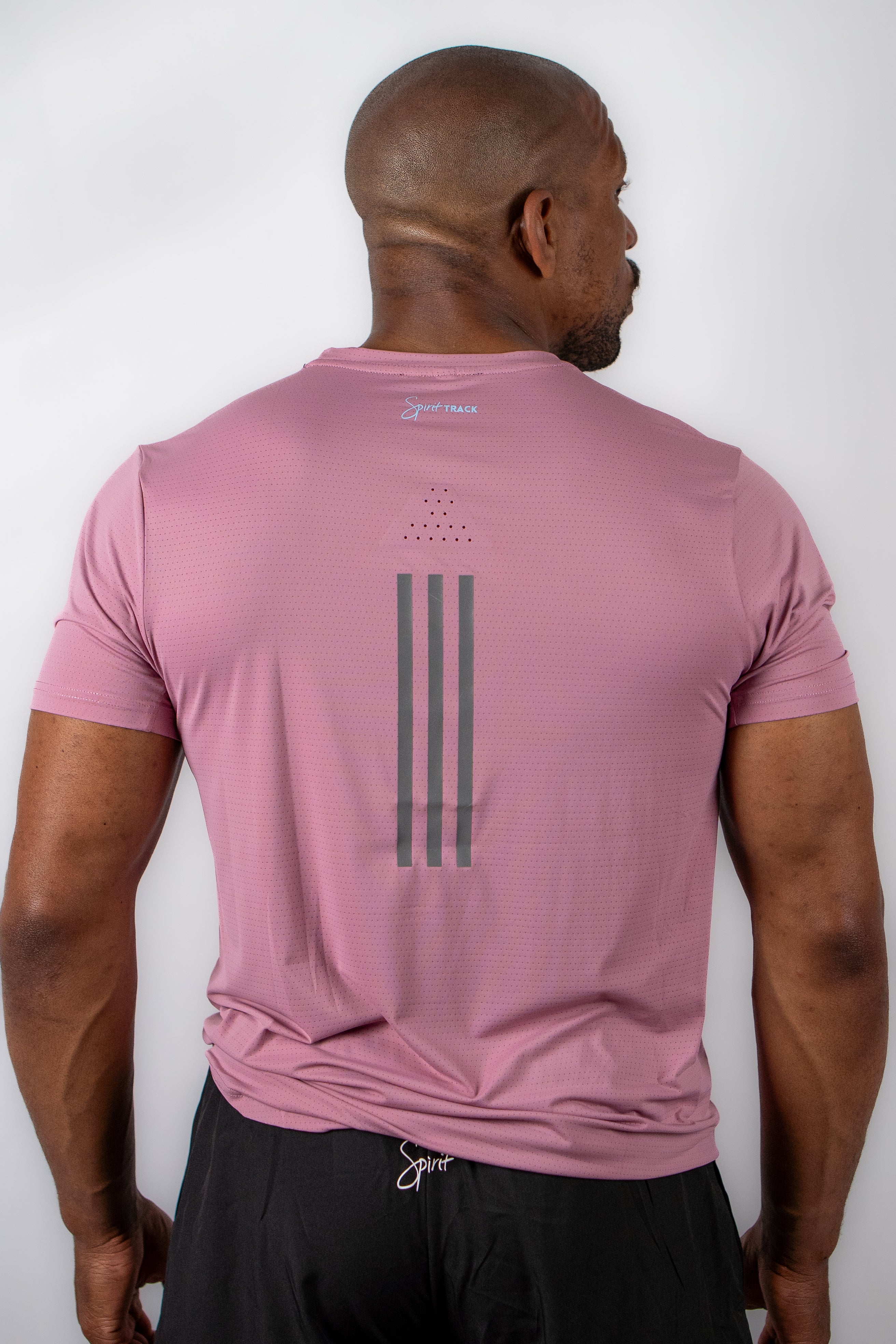Mens Mesh Moisture Wicking Gym T-shirt